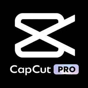 Capcut Pro Lifetime (Mobile/PC)
